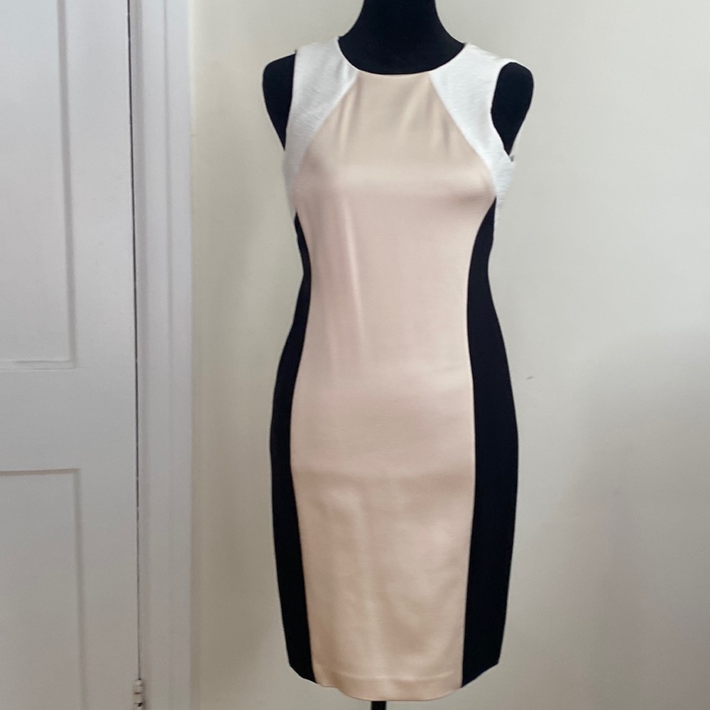 Classy black, cream and white dress. Form fitting and zipper is in back. Lovely!